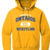 ONT Wrestling Gold Hoodie (4 Designs to Chose From!!!!) - Image 4