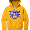 2024 Ontario Football Playoff Elite 8 Jerzee Hoodie - Image 4