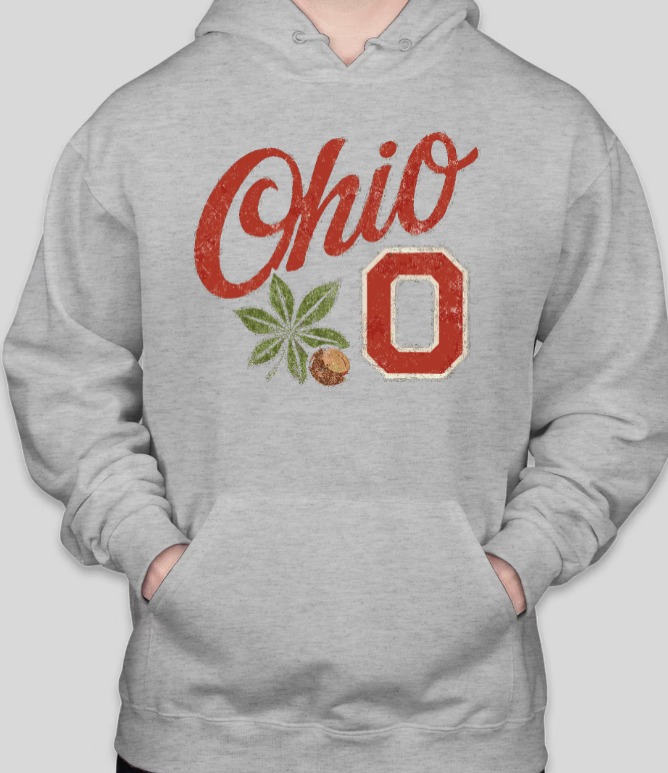 Ohio State Script Ohio Hoodie - Image 3