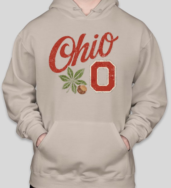Ohio State Script Ohio Hoodie - Image 2